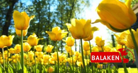 İstirahət günlərində səyahətə çıxanlar üçün hava proqnozu açıqlanıb