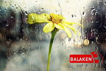 Leysan yağacaq, dolu düşəcək