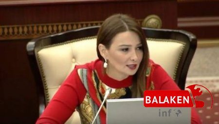 "Qarabağın azad olunması istiqamətində işlərimizi sürətləndirməliyik" - Qənirə Paşayeva