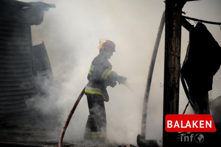 Balakəndə 1 ton xurma yanıb