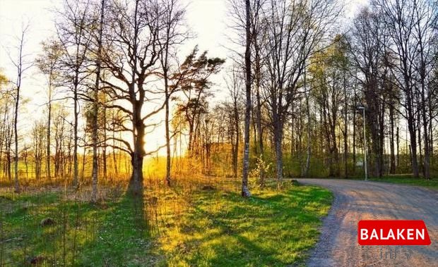 İstirahət günlərinin hava proqnozu: Şaxta olacaq