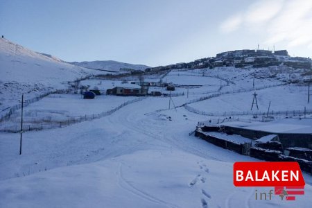 Qaxa 15 sm qar yağıb - Faktiki hava