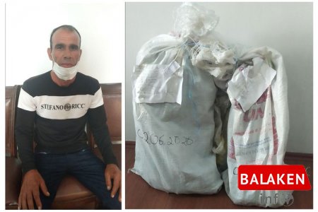 Yaşadığı evin həyətyanı sahəsində narkotik becərən Balakən sakini saxlanılıb