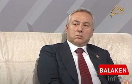 Azərbaycan Avropa İttifaqının enerji təchizatında mühüm rol oynayır - Deputat