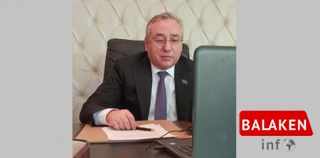 Azərbaycan və Litva parlament dostluq qruplarının onlayn görüşü olub