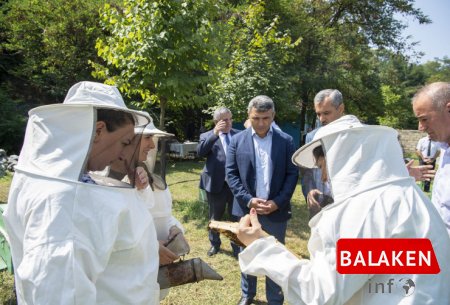 Nazir İnam Kərimov Zaqatala və Balakəndə fermerlərlə görüşüb, tədarük məntəqələrinə və təsərrüfatlara baş çəkib