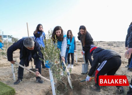 Leyla Əliyeva bir milyon ağac əkilən “Yaşıl Marafon”a yekun vurdu - FOTO