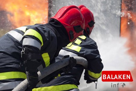 Balakəndə inkubasiya sexi yanıb